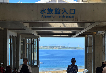 冲绳美丽海水族馆第 149 张图片
