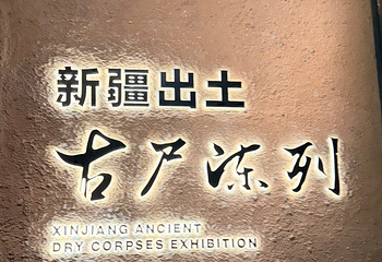 新疆维吾尔自治区博物馆第 67 张图片