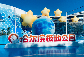哈尔滨极地公园第 27 张图片