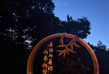 普陀山风景区第 312 张图片
