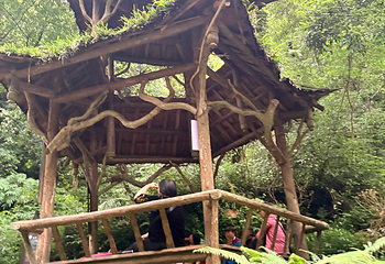 青城山第 476 张图片