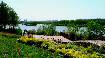 北京西沟原始森林