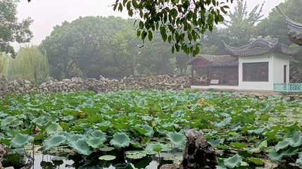 蠡园-荷花池第 1 张图片