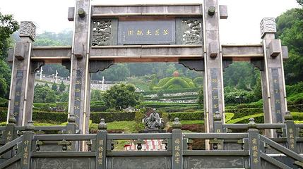 茶叶大观园第 1 张图片