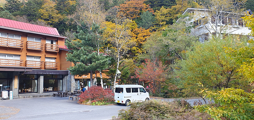 大正池第 16 张图片