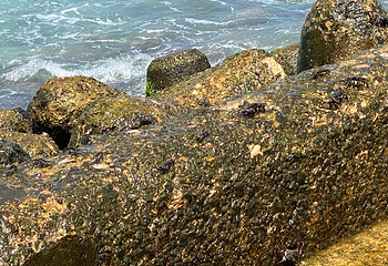 Artificial Beach第 12 张图片