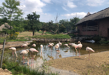 Zoo Brno第 1 张图片