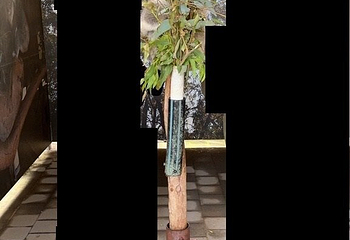 凯维森野生动物园第 97 张图片
