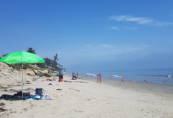 Butterfly Beach第 14 张图片