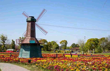 周浦花海第 58 张图片