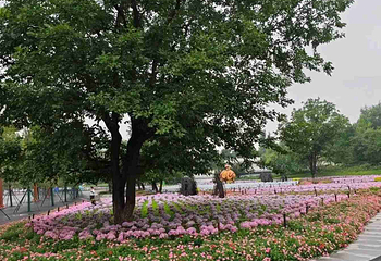 北京世园国际旅游度假区第 104 张图片