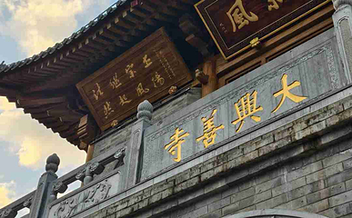 大兴善寺第 63 张图片