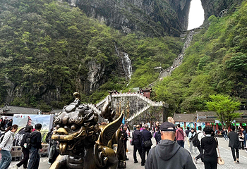 天门山国家森林公园第 292 张图片
