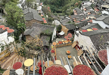 婺源篁岭景区第 200 张图片