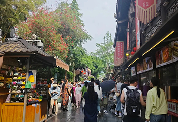 宽窄巷子第 218 张图片