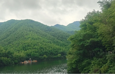 天目湖南山竹海第 177 张图片