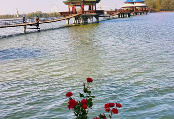 八里河旅游区第 37 张图片