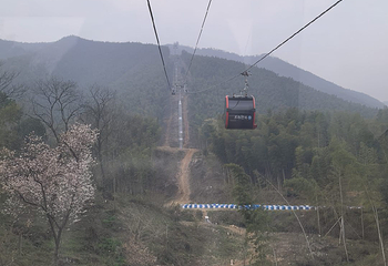 宜兴竹海风景区第 46 张图片
