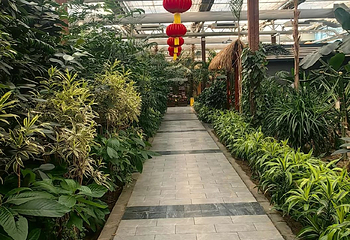 南宫旅游休闲度假区第 113 张图片