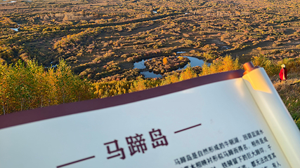 额尔古纳湿地第 52 张图片
