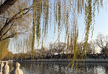 什刹海风景区第 249 张图片