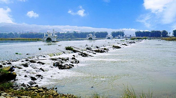 大盈江国家级风景名胜区花海