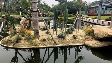 厦门园第 1 张图片