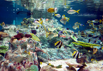 浅虫水族馆第 2 张图片
