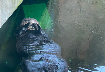 丹麦国立水族馆第 61 张图片