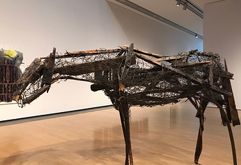 Phoenix Art Museum第 11 张图片