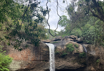 Khao Yai National Park Checkpoint - Pak Chong第 8 张图片