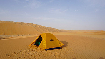 Liwa Oasis