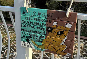 青岛森林野生动物世界第 34 张图片