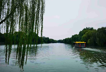 瘦西湖第 390 张图片