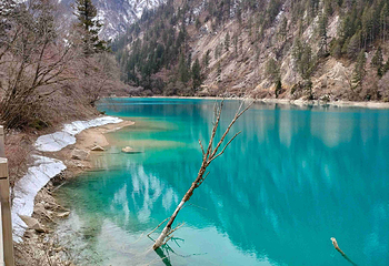 九寨沟风景区第 421 张图片