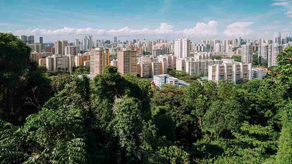 花柏山公园第 100 张图片