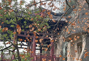 皇泽寺第 12 张图片