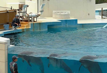 冲绳美丽海水族馆第 97 张图片