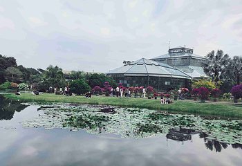中国科学院华南国家植物园第 35 张图片