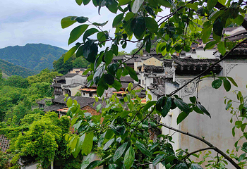 婺源篁岭景区第 124 张图片