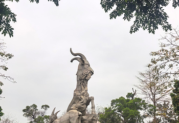 越秀公园第 237 张图片