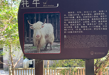 重庆动物园第 92 张图片