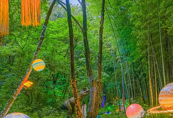 茅山森林世界第 78 张图片