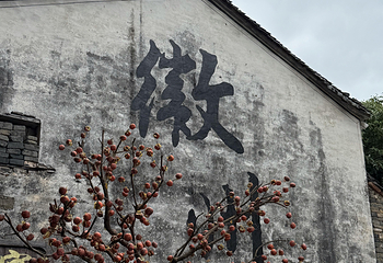 西溪南古村落第 37 张图片