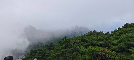 黄山风景区第 311 张图片