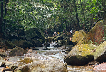 鼎湖山第 42 张图片