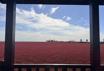 红海滩国家风景廊道第 241 张图片