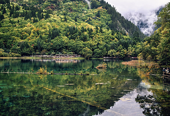 九寨沟风景区第 206 张图片