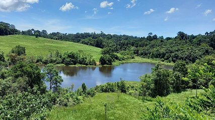 Khao Yai National Park Checkpoint - Pak Chong第 2 张图片