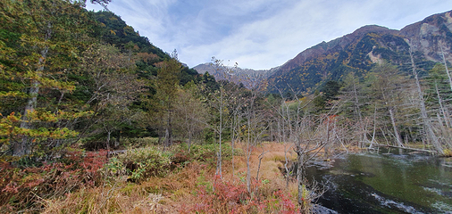 岳沢湿原第 10 张图片